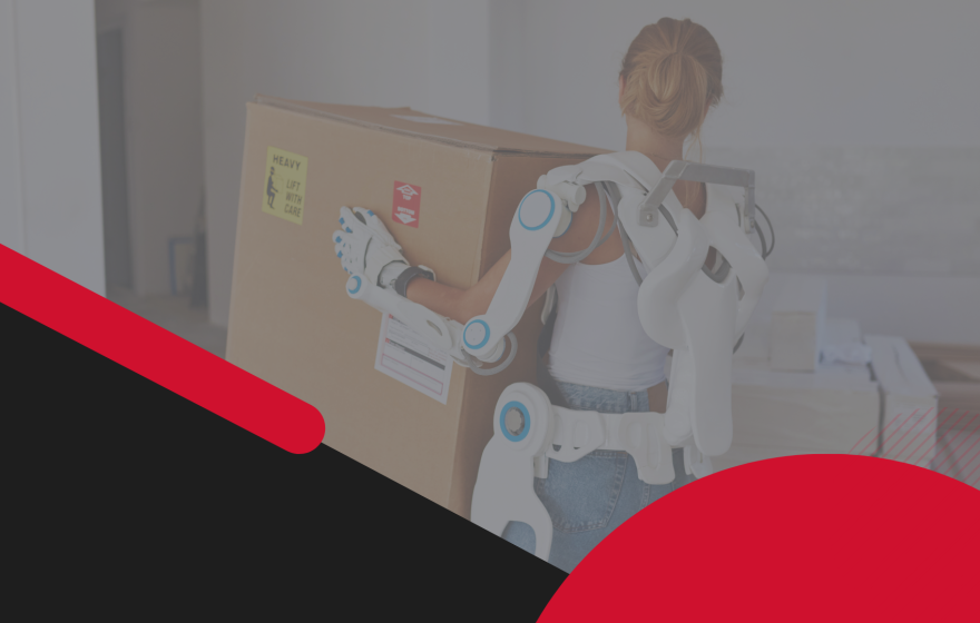 Exo-Bois - site Web (2)